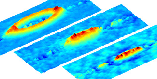 spin density difference maps indicate phase separation