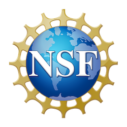 Logo of the US National Science Foundation